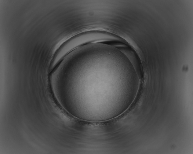 X0000090630834200707171445