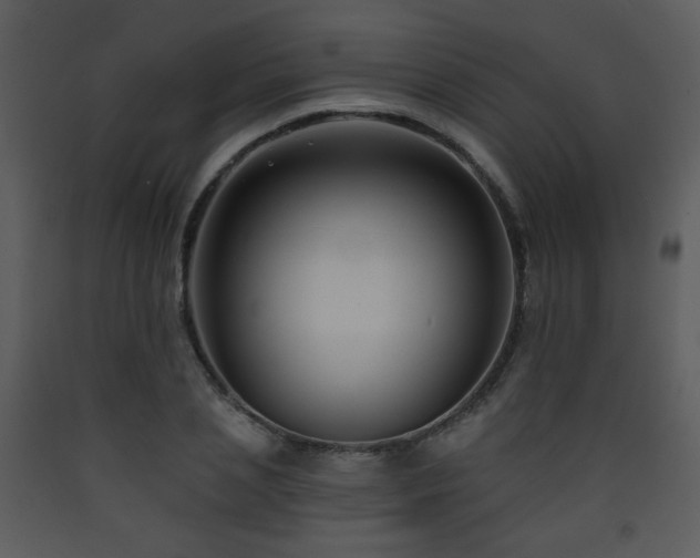 X0000090630837200707171445