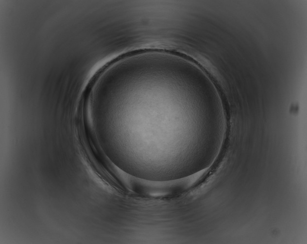 X0000090630838200707171445