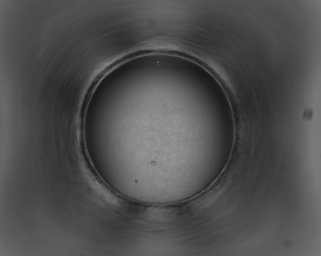 X0000090630840200707171445