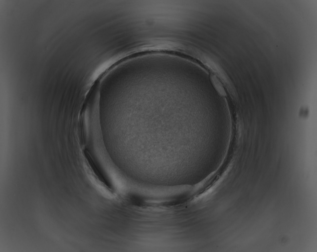 X0000090630842200707171445