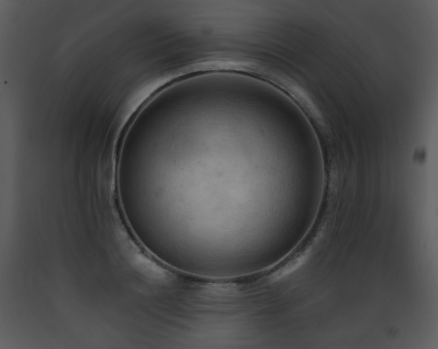 X0000090630844200707171445