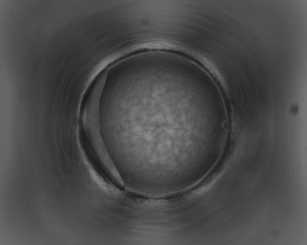 X0000090630845200707171445