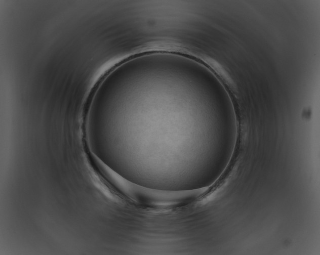 X0000090630846200707171445