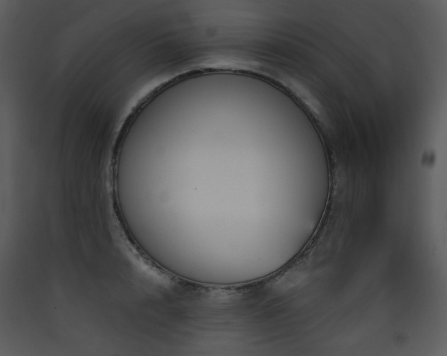 X0000090630848200707171445