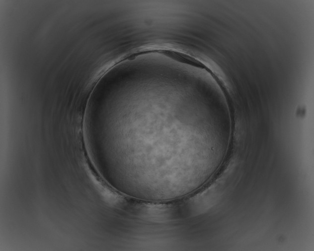 X0000090630849200707171446