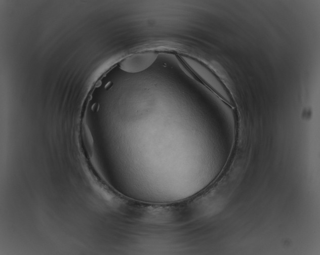 X0000090630850200707171446