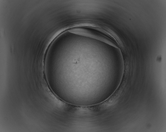 X0000090630852200707171446