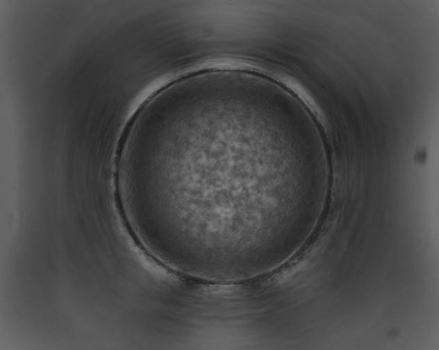 X0000090630853200707171446