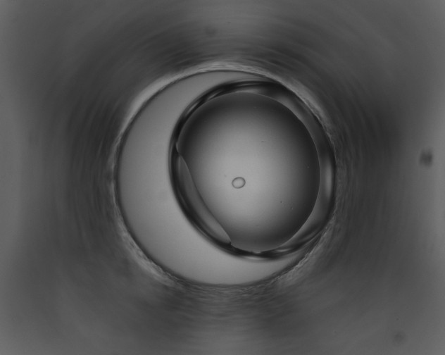 X0000090630854200707171446