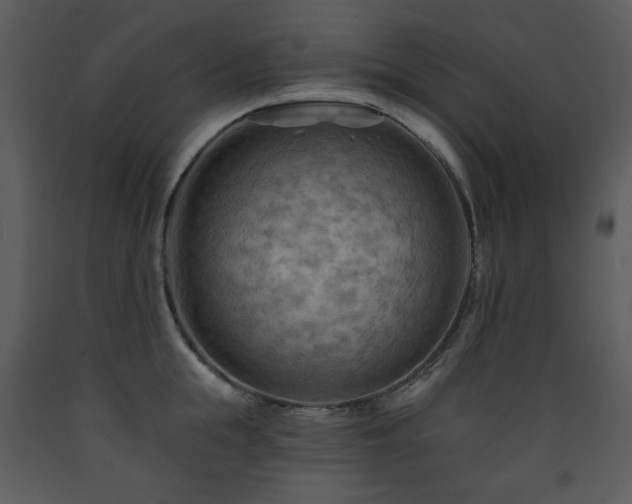 X0000090630855200707171446