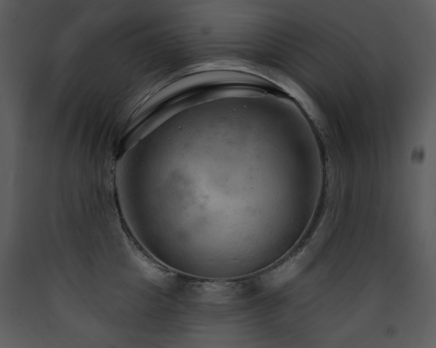 X0000090630857200707171446