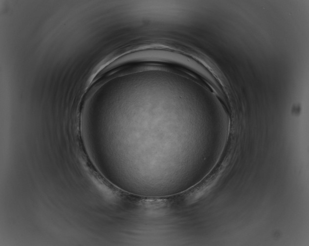 X0000090630858200707171446