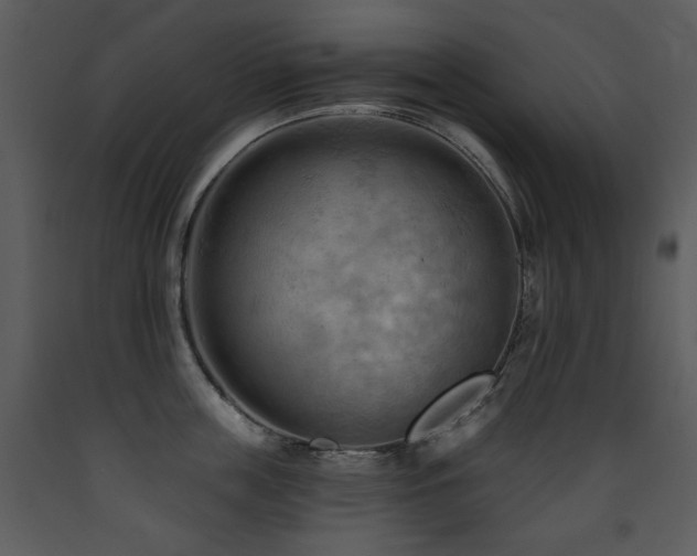 X0000090630859200707171446