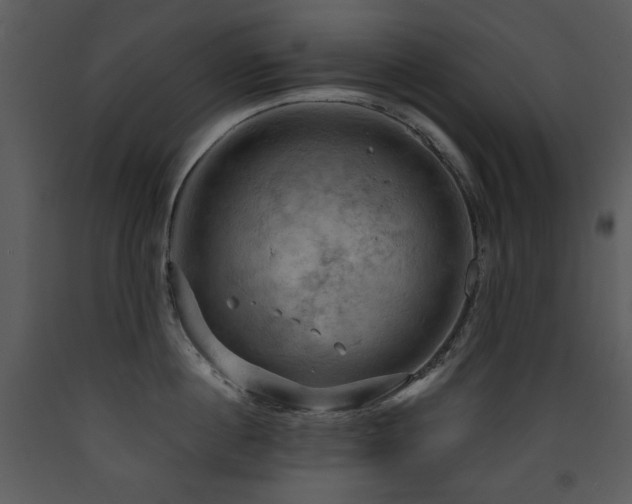 X0000090630860200707171446