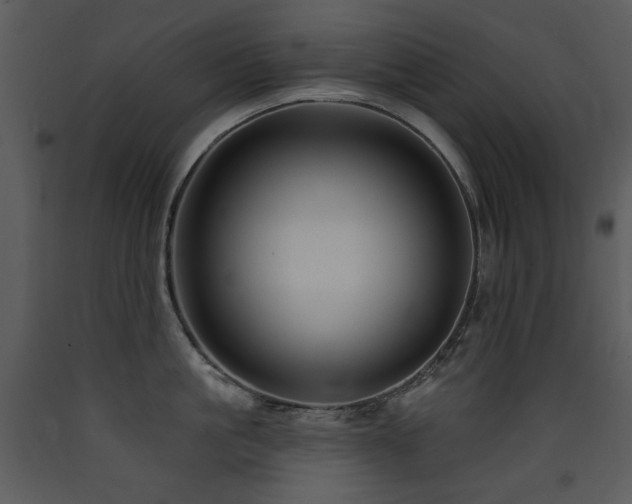 X0000090630861200707171446