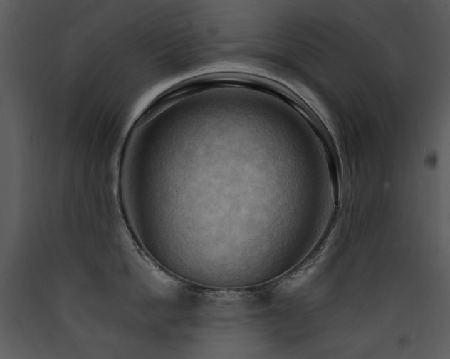 X0000090630862200707171446