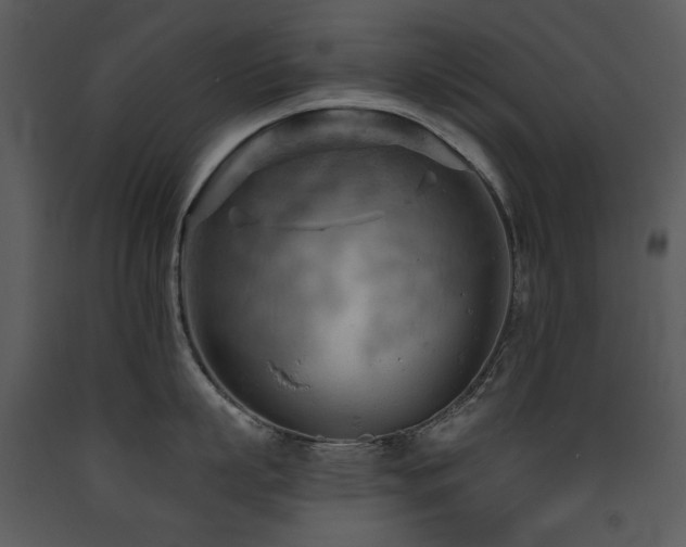X0000090630863200707171446