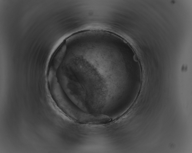 X0000090630864200707171446