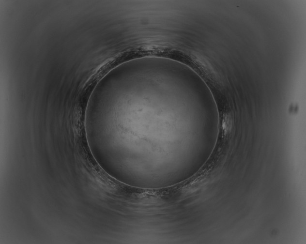 X0000090630867200707171445