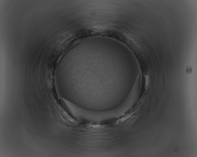 X0000090630868200707171445