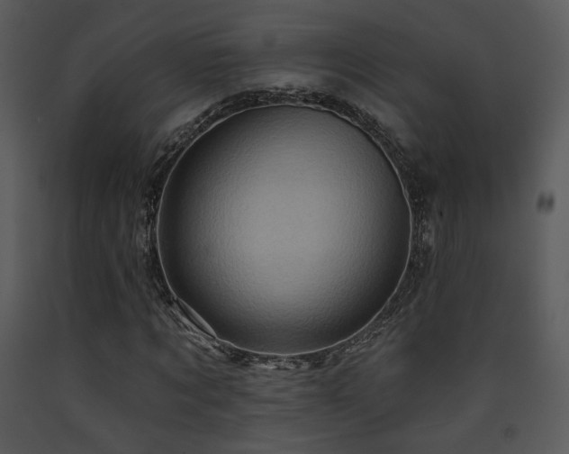 X0000090630869200707171445