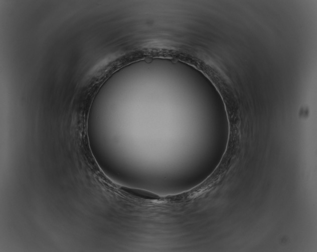 X0000090630870200707171445