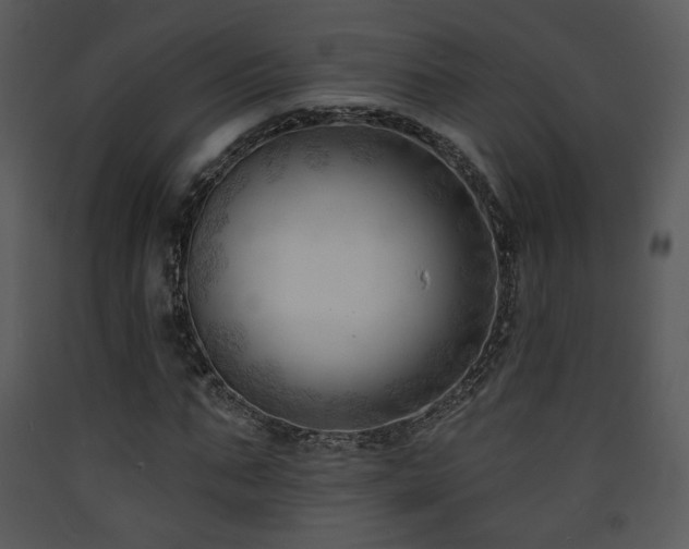 X0000090630871200707171445