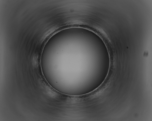 X0000090630873200707171445