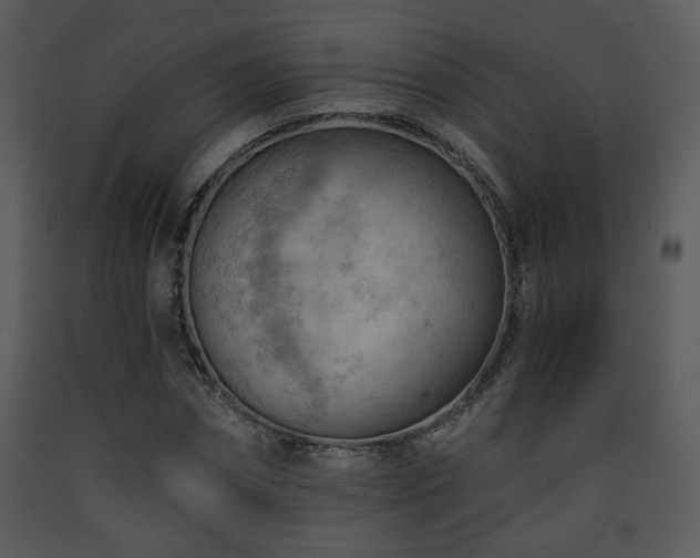 X0000090630874200707171445