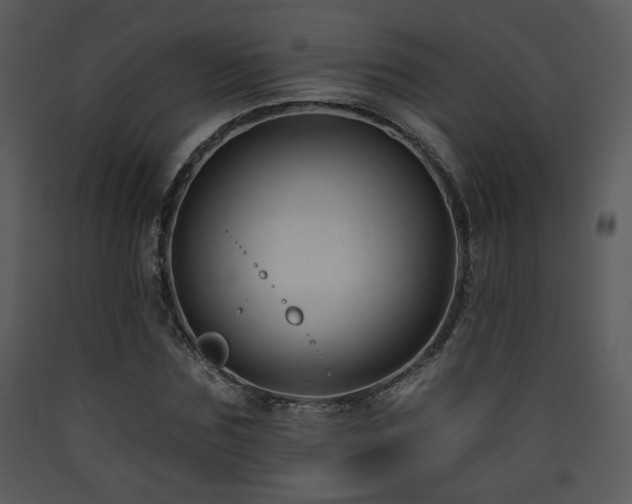 X0000090630875200707171445