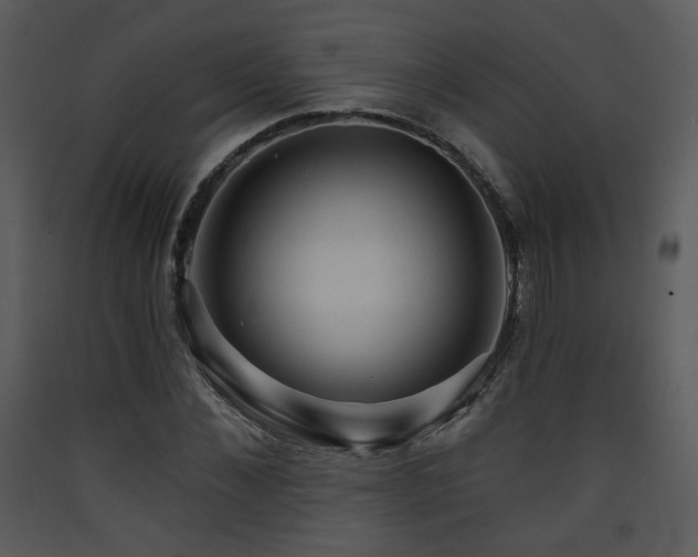 X0000090630876200707171445