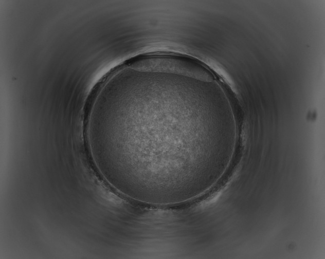 X0000090630877200707171445