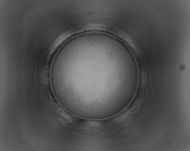 X0000090630878200707171445