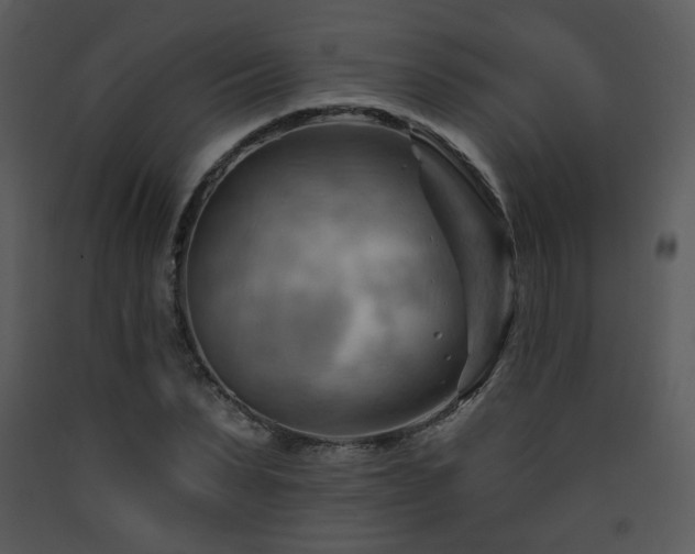 X0000090630879200707171445