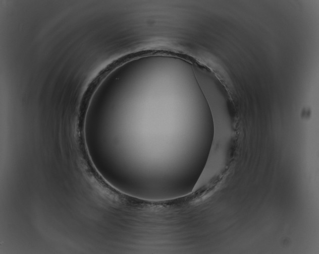 X0000090630880200707171445