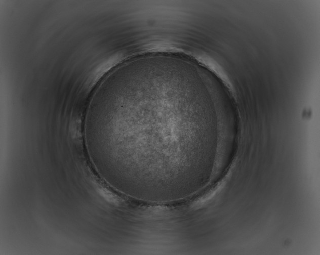 X0000090630881200707171445