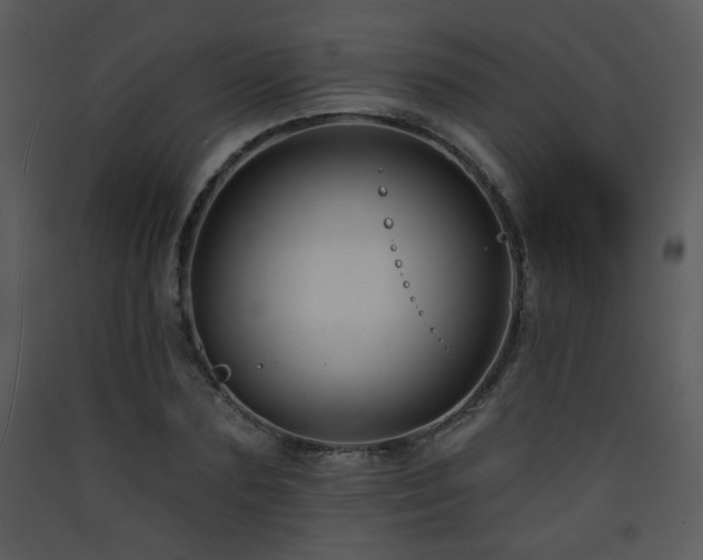 X0000090630883200707171445