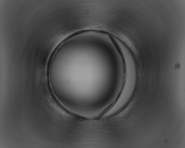 X0000090630884200707171445