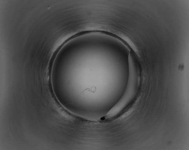 X0000090630885200707171445