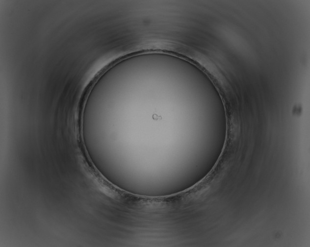 X0000090630886200707171445