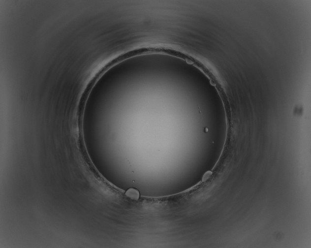 X0000090630887200707171445