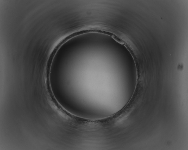 X0000090630888200707171445