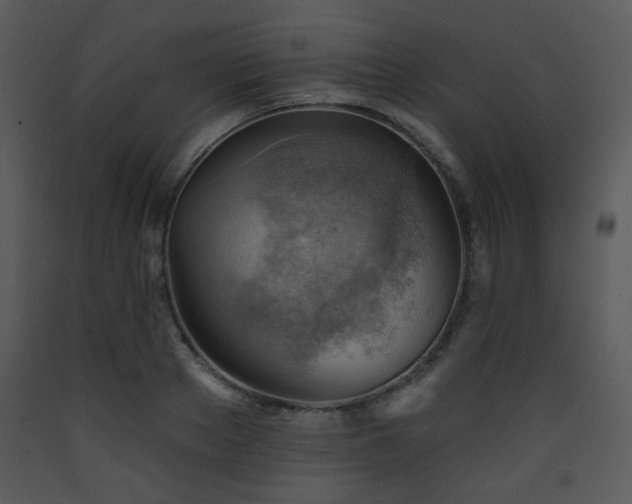 X0000090630889200707171445