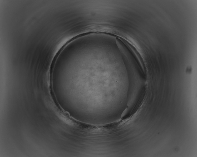 X0000090630891200707171445