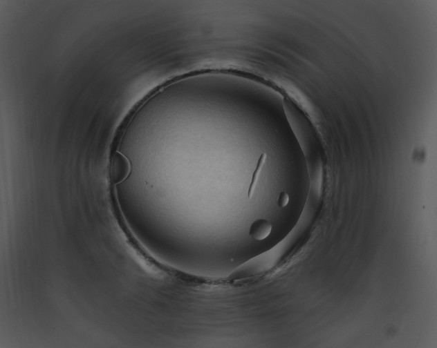 X0000090630894200707171445