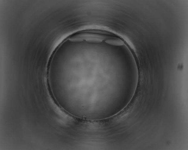 X0000090630895200707171445