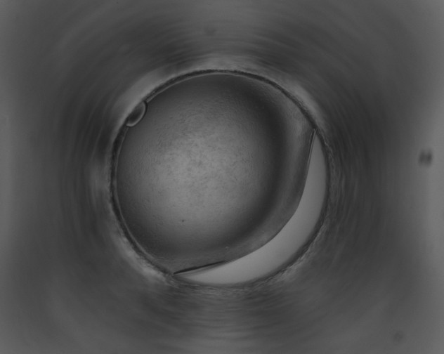 X0000090630896200707171445