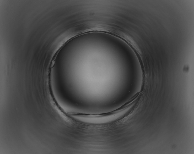 X0000090630898200707171445