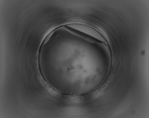 X0000090630899200707171445